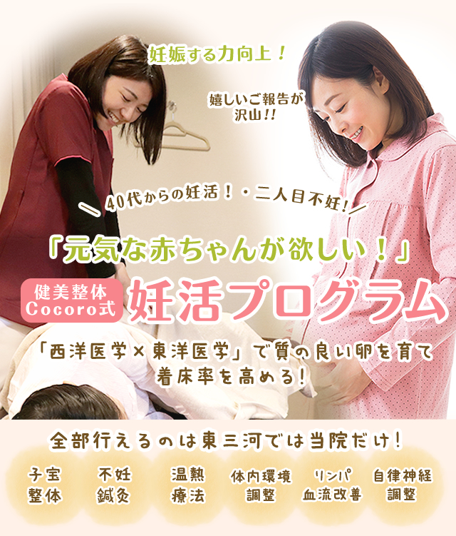 不妊・妊活プログラム | 豊川市 健美整体cocoro